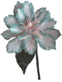 Peony - Click to Go Back